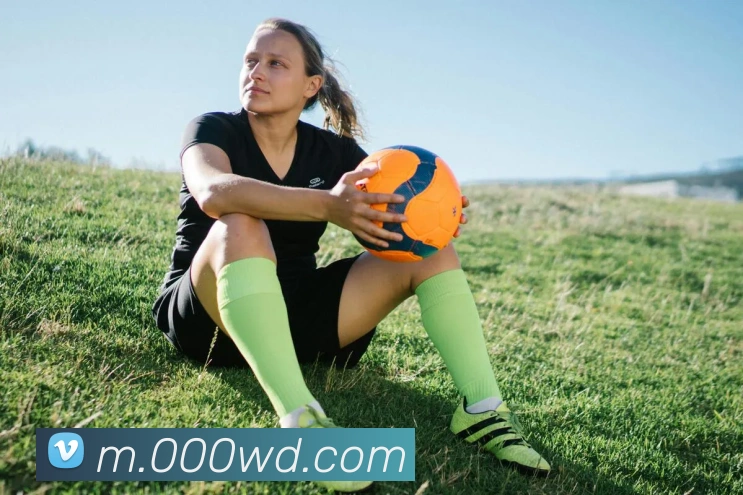 平台展示图